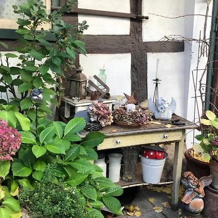 Апартаменты Platzhirsch - Im Herzen Der Altstadt *